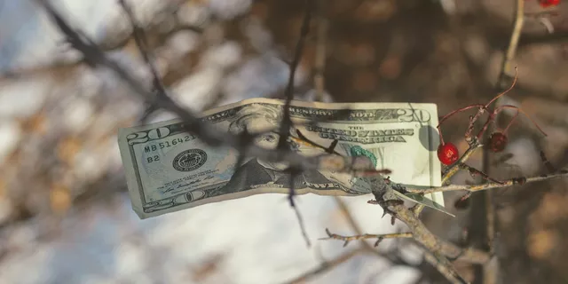 ADP NFP ความสำคัญในเชิงระยะสั้น