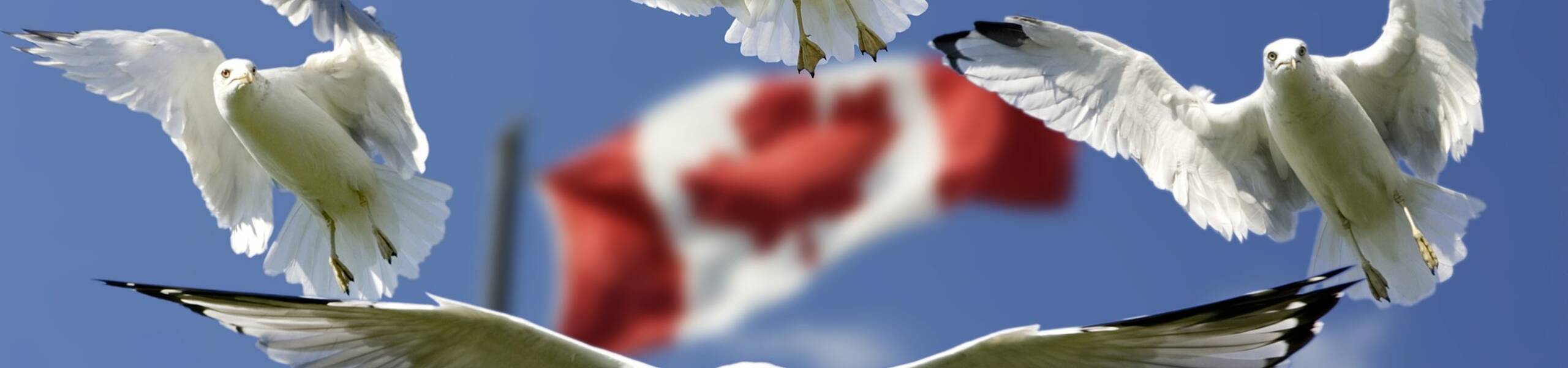 Banco do Canadá espera taxas mais altas no futuro